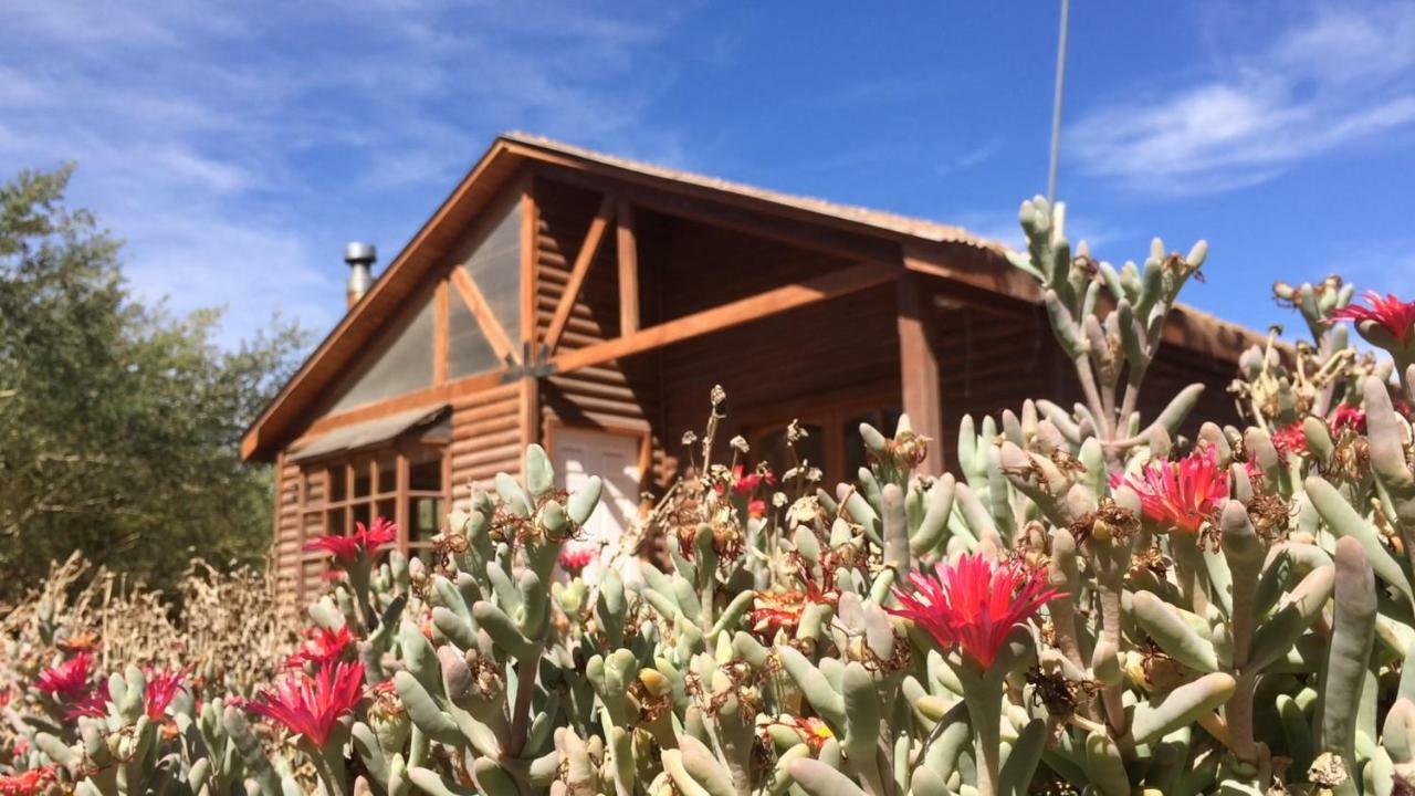 Cabanas Dona Juanita San Pedro De Atacama Zewnętrze zdjęcie